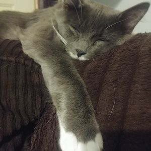 Meet your Posher, Lori